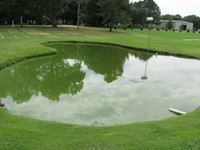 Algal bloom in pond at OSU Turfgrass Center